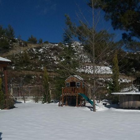 Villa Agros Timber Log House Extérieur photo