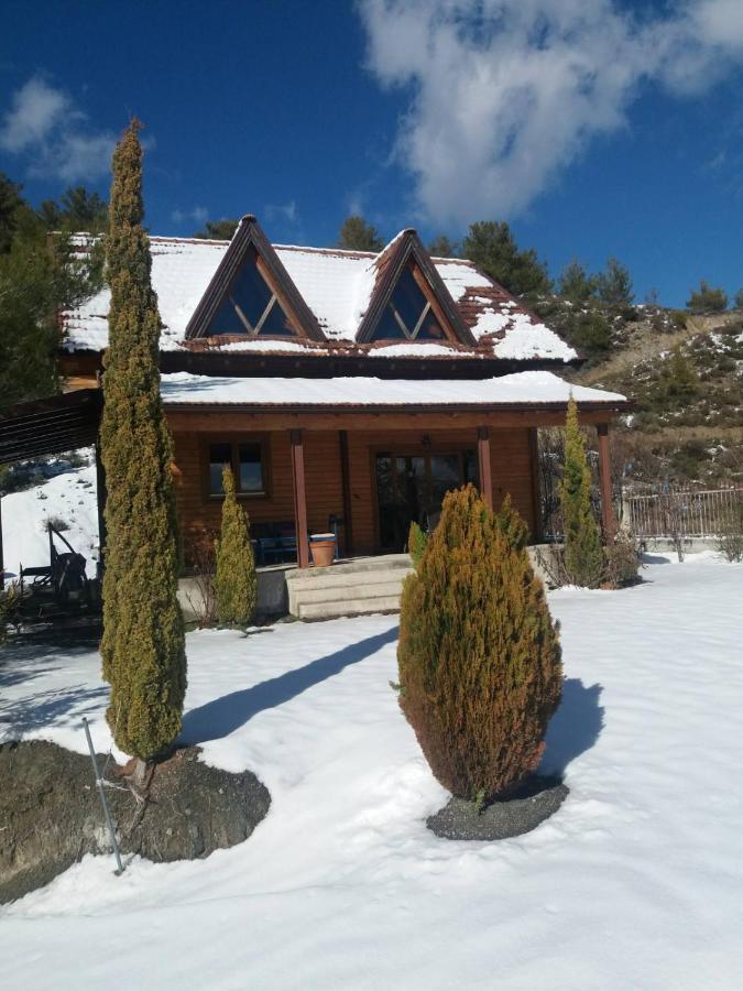 Villa Agros Timber Log House Extérieur photo