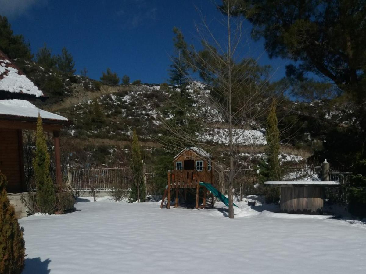 Villa Agros Timber Log House Extérieur photo