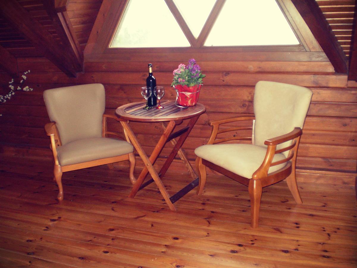 Villa Agros Timber Log House Extérieur photo
