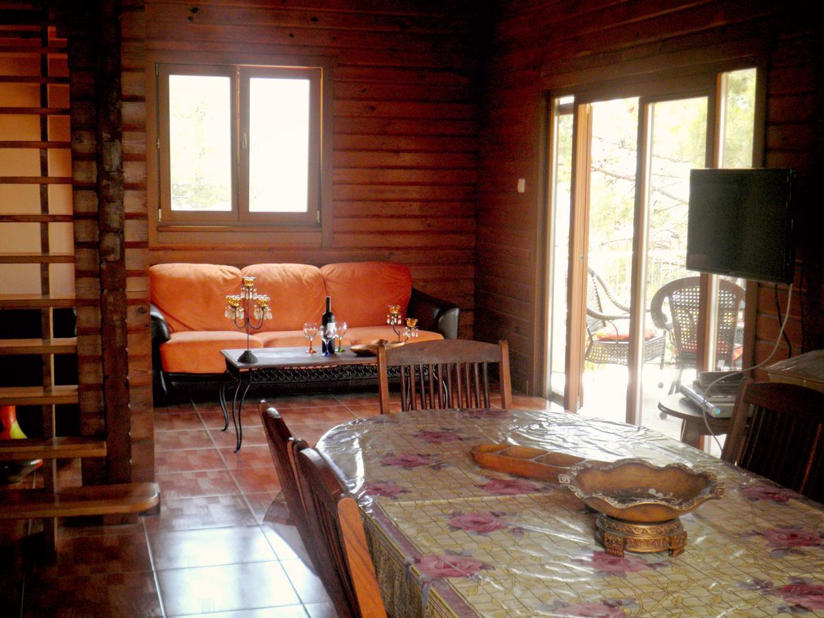 Villa Agros Timber Log House Extérieur photo